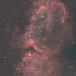 Live Stargazing